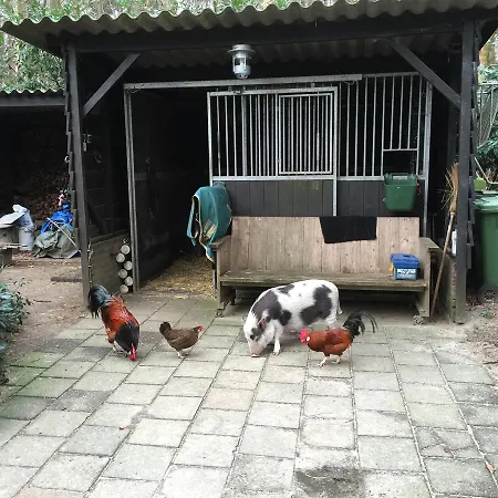 Alojamento de Acomodação e Pequeno-almoço 't Huis Ten Boss *